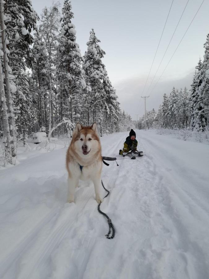 Villa Waeltti Rovaniemi Luaran gambar