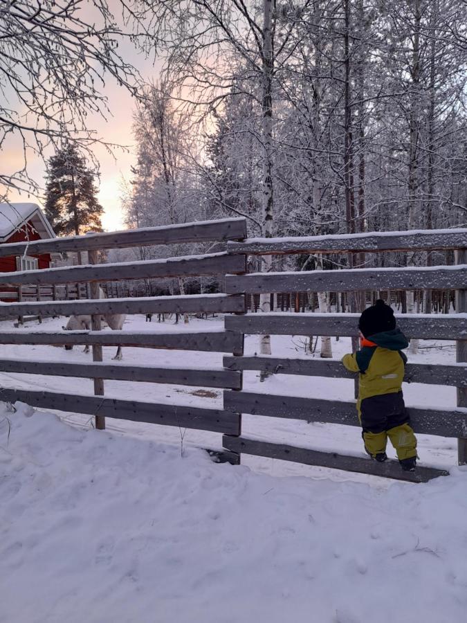 Villa Waeltti Rovaniemi Luaran gambar